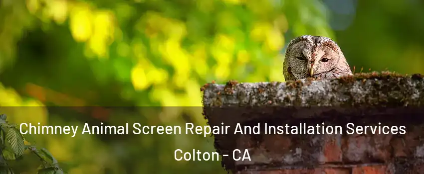  Chimney Animal Screen Repair And Installation Services Colton - CA