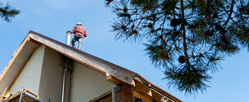 Birds Removal Contractors from Chimney in Colton, CA